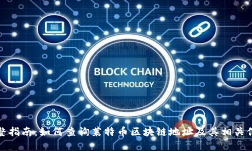 完整指南：如何查询莱特币区块链地址及其相关信息