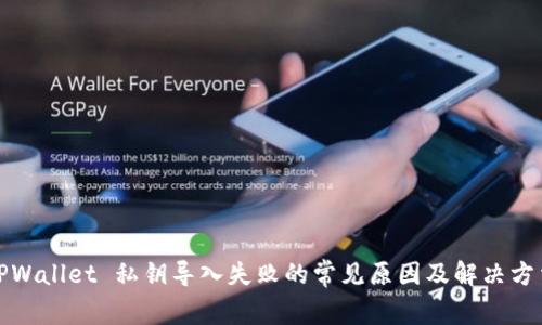 TPWallet 私钥导入失败的常见原因及解决方法