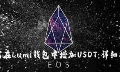 如何在Lumi钱包中增加USDT：详细指南