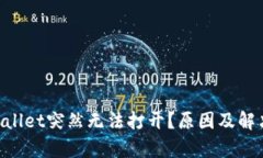 为何TP Wallet突然无法打开？原因及解决方案解析