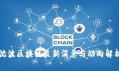 沈波区块链最新消息与动向解析