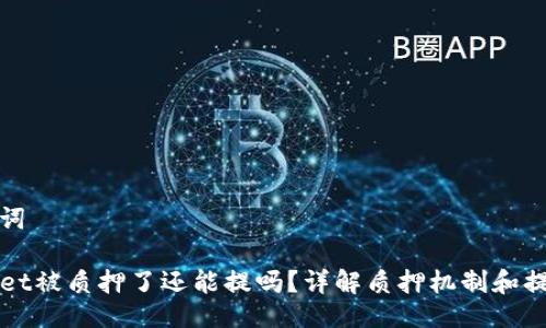 与关键词

TPWallet被质押了还能提吗？详解质押机制和提取方式