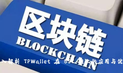 深入解析 TPWallet 在 BSC 链上的应用与优势