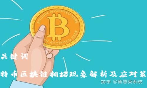 和关键词

比特币区块链拥堵现象解析及应对策略