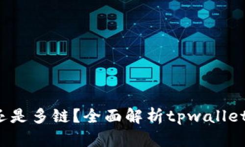  tpwallet是单链还是多链？全面解析tpwallet的区块链支持情况