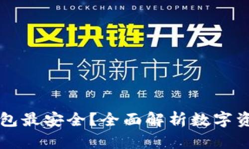 币圈哪个钱包最安全？全面解析数字资产安全选择