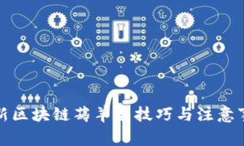 最新区块链薅羊毛技巧与注意事项