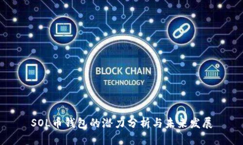 SOL币钱包的潜力分析与未来发展