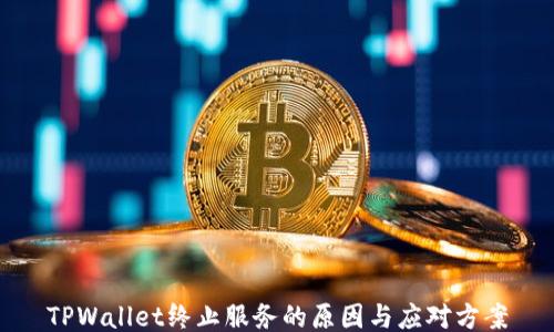 
TPWallet终止服务的原因与应对方案