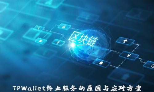 
TPWallet终止服务的原因与应对方案