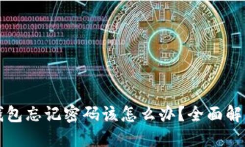 比特币核心钱包忘记密码该怎么办？全面解决方案与技巧