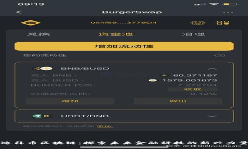 迪拜币区块链：探索未来金融科技的新兴力量