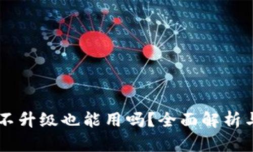TPWallet不升级也能用吗？全面解析与用户指南