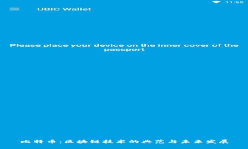 比特币：区块链技术的典范与未来发展