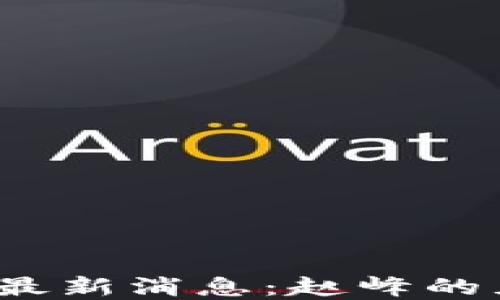 
2023年区块链最新消息：赵峰的见解与行业动态