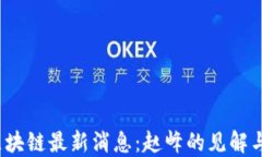 2023年区块链最新消息：赵峰的见解与行业动态