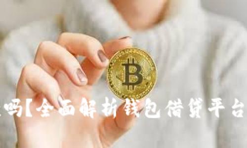 钱包还能下款吗？全面解析钱包借贷平台的现状与未来