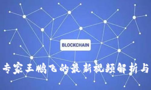 : 区块链专家王鹏飞的最新视频解析与应用洞察