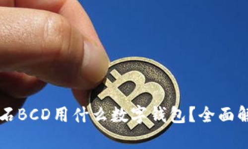 比特币钻石BCD用什么数字钱包？全面解析与推荐
