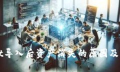 TPWallet导入后资产消失的原因及解决方案