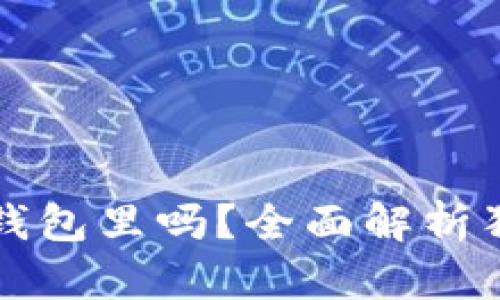 狗狗币能放在钱包里吗？全面解析狗狗币存储方式