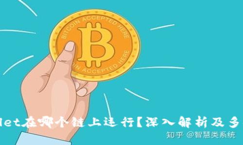TPWallet在哪个链上运行？深入解析及多链支持