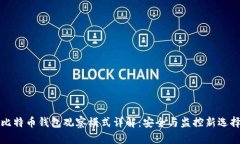 比特币钱包观察模式详解