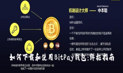 如何下载和使用BitPay钱包：终极指南