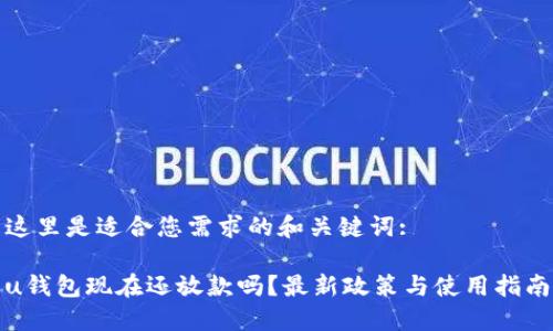 这里是适合您需求的和关键词:

u钱包现在还放款吗？最新政策与使用指南