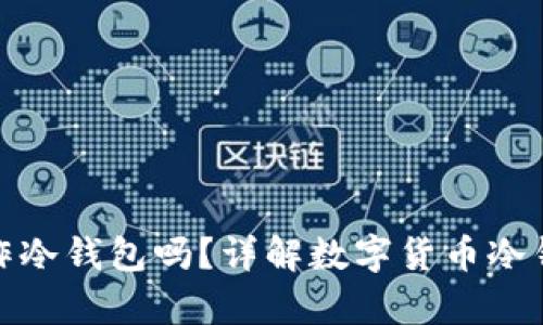 tpwallet可以制作冷钱包吗？详解数字货币冷钱包的使用与优势