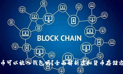 屎币可以放入钱包吗？全面解析虚拟货币存储方式