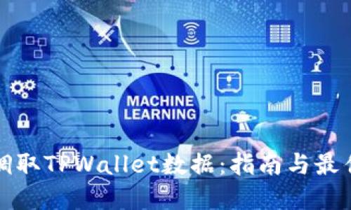 如何调取TPWallet数据：指南与最佳实践