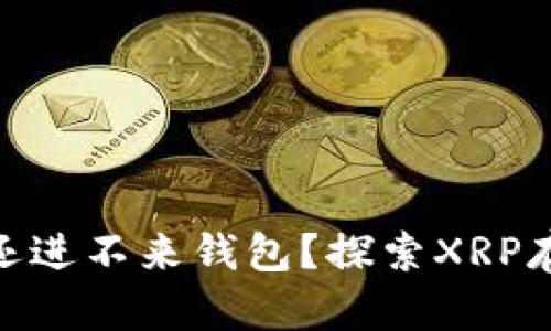 为什么XRP现在还进不来钱包？探索XRP存储的现状与未来