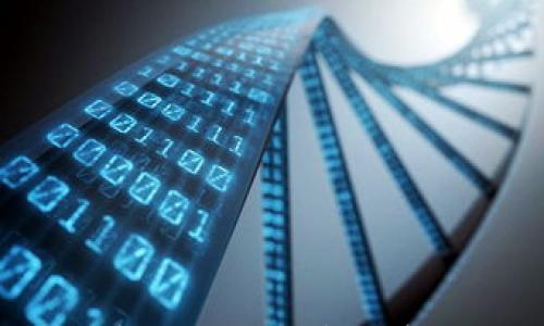 

如何将OK的USDT转移到TP钱包？详细教程与注意事项