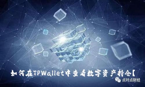 如何在TPWallet中查看数字资产持仓？