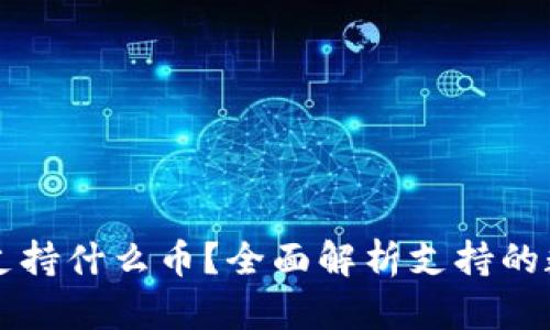 比特派钱包支持什么币？全面解析支持的数字货币种类