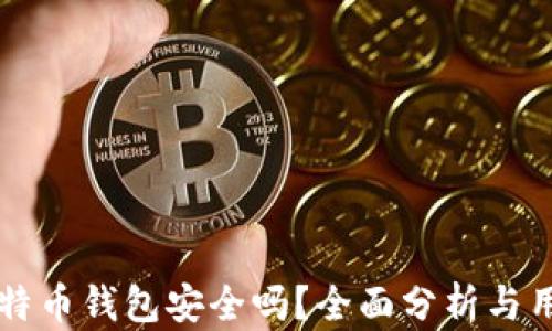 
实体比特币钱包安全吗？全面分析与用户指南