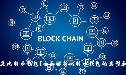 什么是比特币钱包？全面解析比特币钱包的类型和功能