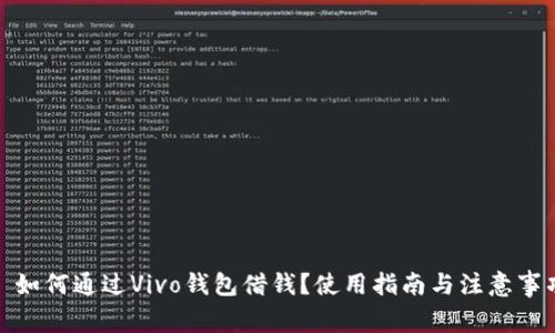 : 如何通过Vivo钱包借钱？使用指南与注意事项