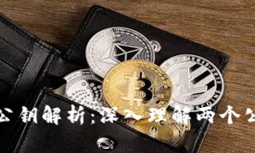 比特币中公钥解析：深入理解两个公钥的意义