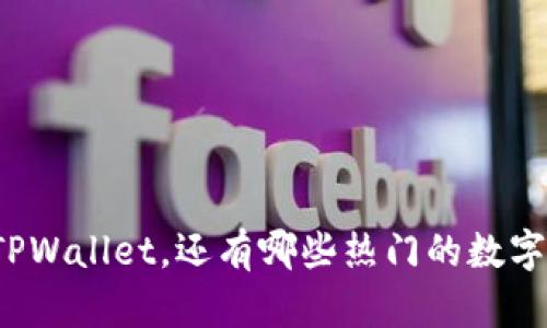 除了TPWallet，还有哪些热门的数字选择？